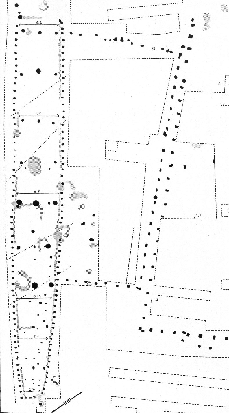 Site map of Hillerberg-Nord Rössen Settlement. The house outlines, post-holes and ditches as well as the fences are depicted.

Scanned image from the book 