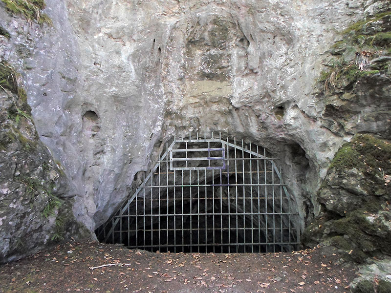 The Veledahöhle is a cave in Bestwig (North Rhine-Westphalia, Germany).

Several finds date from the Pre-Roman Iron Age. This may indicate that the cave was a sacral place or a cemetery. 

View at the the Eastern entrance of the cave.

The photo was taken in July 2018.
© Platta 2018