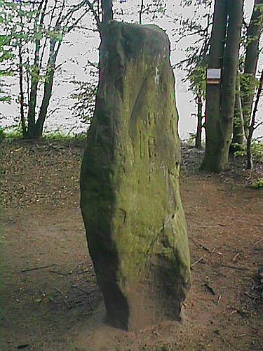 A view of the flat side of the stone.