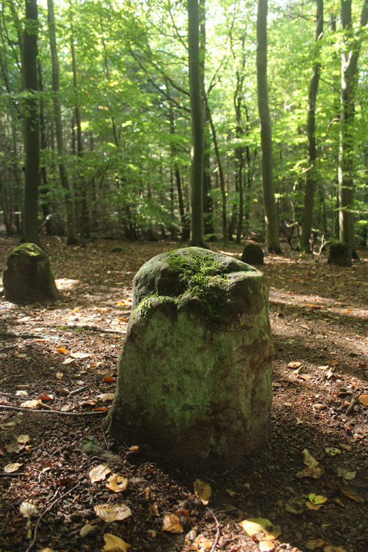 closer view of one stone of the stone circle.