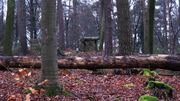 The Mollenkopf modern Dolmen. In a nice surrounding in the middle of a deep forest.