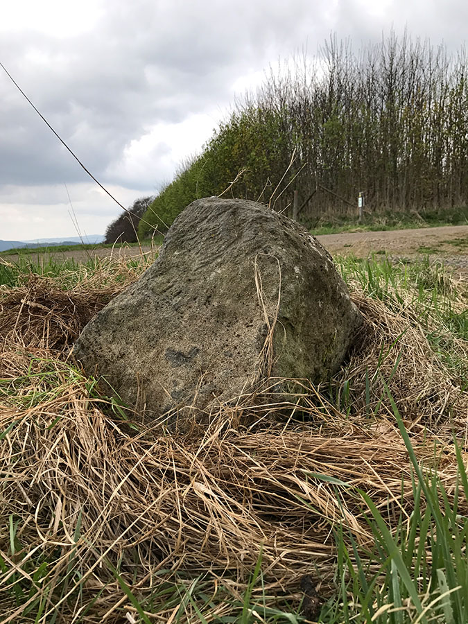 the very small (remains?) of the standing stone..?