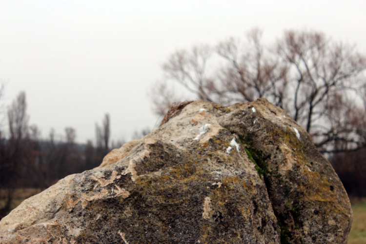 The Laubenheim standing stone