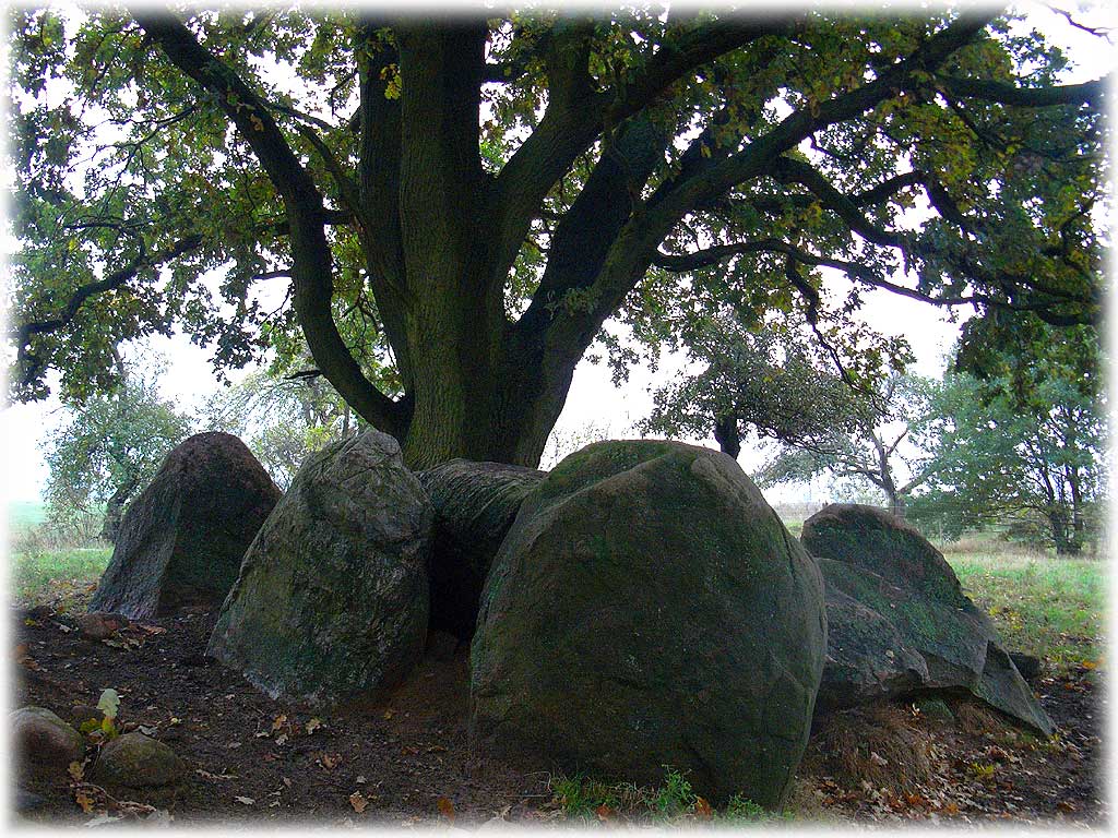 Just 600m NE of the small village Mehmke, close to a small street, remains of a Chambered Tomb, a 'Grossdolmen' with enclosure.
Enclosure size apprx. 20m x 5m, only 13 stones survived.
Chamber with three pairs of uprights on the long sides, rectangle shape 4m x 1.4m.
Five of the eight orthostats remain and three capstones.
But almost all these stones have been moved or are out of place, so the