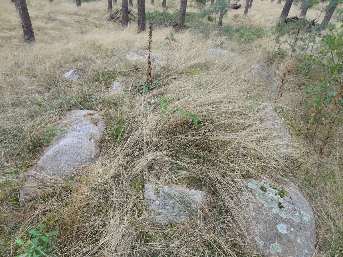 Very hard to see the shape of the tomb in that tall grass, Aug.25, 2020
