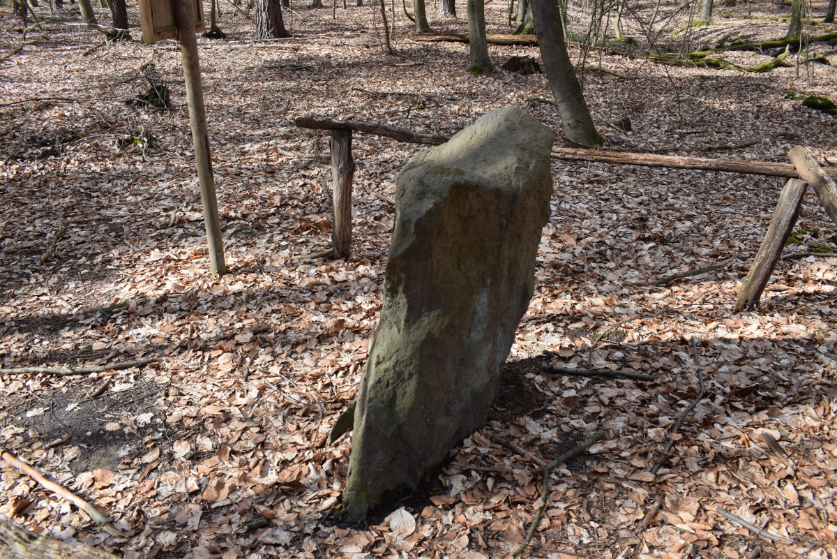 Thümmlitzwald Monolith I
Small monolith
Pic from April 2023