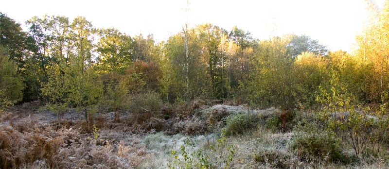 Albersdorf Langbett 1