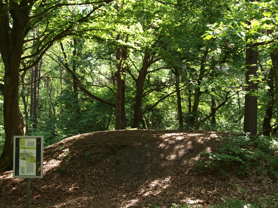 Fischbeker Heide Archäologischer Wanderpfad