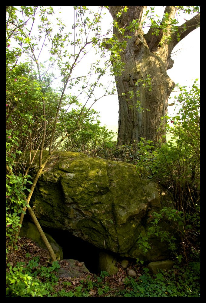 The ortostats are still in the ground . A second mighty capstone is overgrown with blackberries and other bushes . 