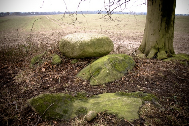 Hardly to the southwest part of the barrow I found this stones. I'm a little bit confused what it is. I think this could be chamber 2. Sprockhoff found no capstone. Maybe the farmer put this stone on the top. 