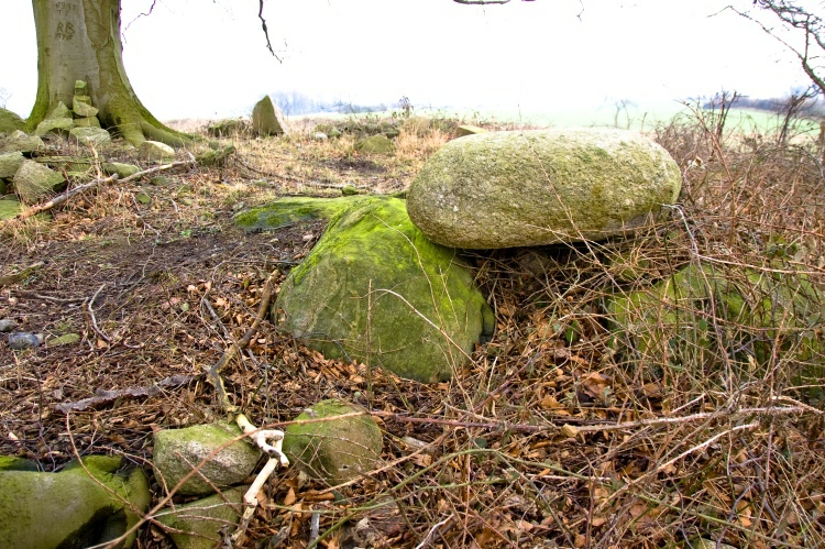 At the southwestern end of the barrow I found this stones. I'm a little bit confused what it is. I think this could be chamber 2. Sprockhoff found no capstone. Maybe the farmer put this stone on the top. 