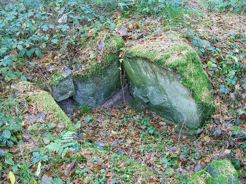 In a small forest, the remains of a burial chamber. Capstones are missing.