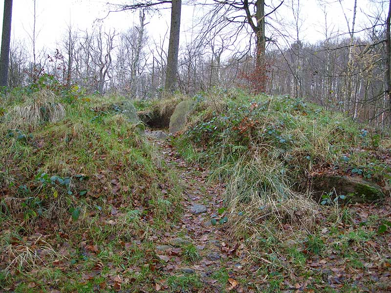 Remains of a Burial Chamber in a forest
near Gluecksburg. Part of the 'Dolmenpfad'.

Inside the top of a small tumulus, eight
uprights form a chamber with a passage.