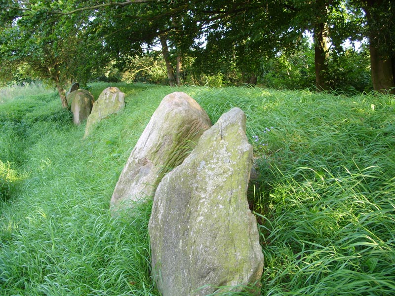 Goosefeld Langbett