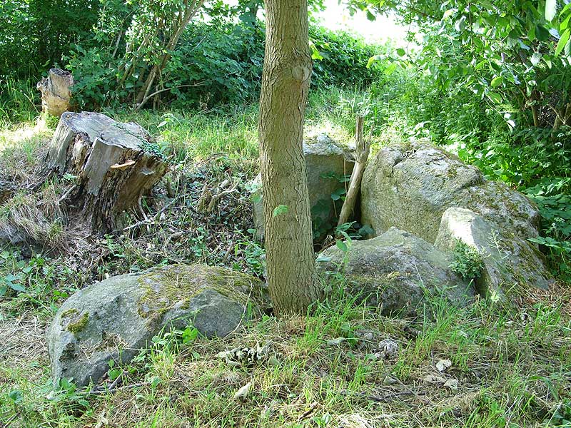 Remains of a Long Barrow south of Lehbek, area is called Pinkyberg.

You can still see a small row of the kerbstones, and a part of the former chamber.