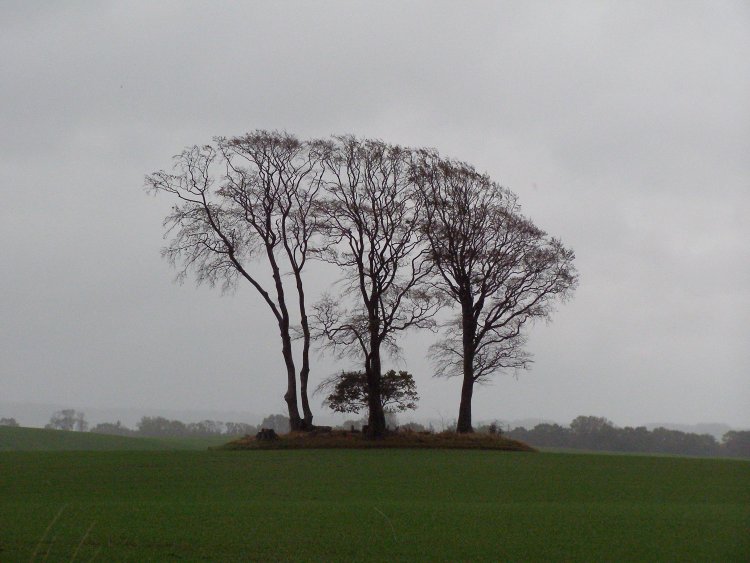 Lehmberg Langbett