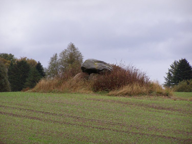 Birkenmoor Dolmen (3)