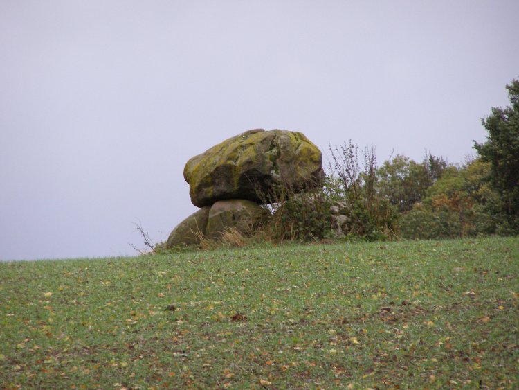 Birkenmoor Dolmen (14)