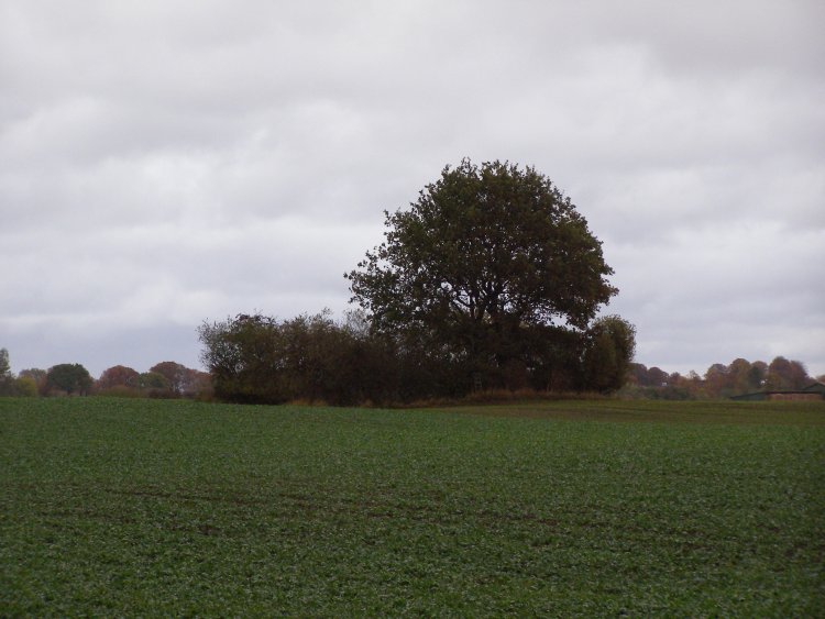 Kaltenhof Steingrab