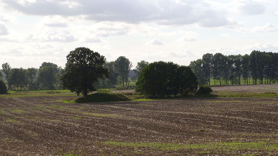 One of the Round Barrows near Pronstorf. 
Actually this one is between Goldenbek and Pronstorf, very near to the 3 Round Barrows of Goldenbek.