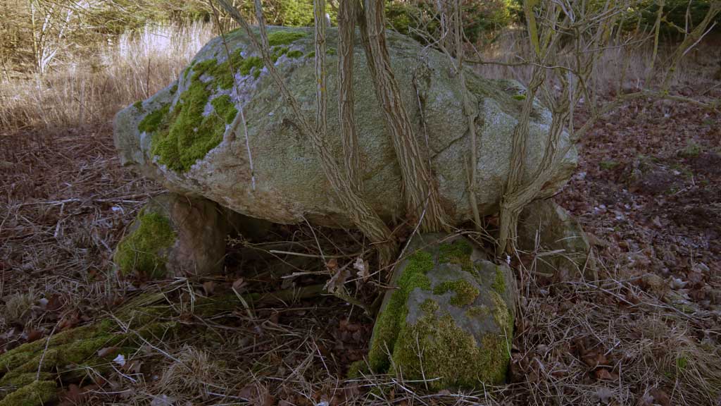 Big Dolmen Chamber with three uprights on each long side.
Chamber size apprx. 2.30x1.60m.
One Capstone 2,60x1.50x1m in situ.

Place has luckily been cleaned not too long time ago.