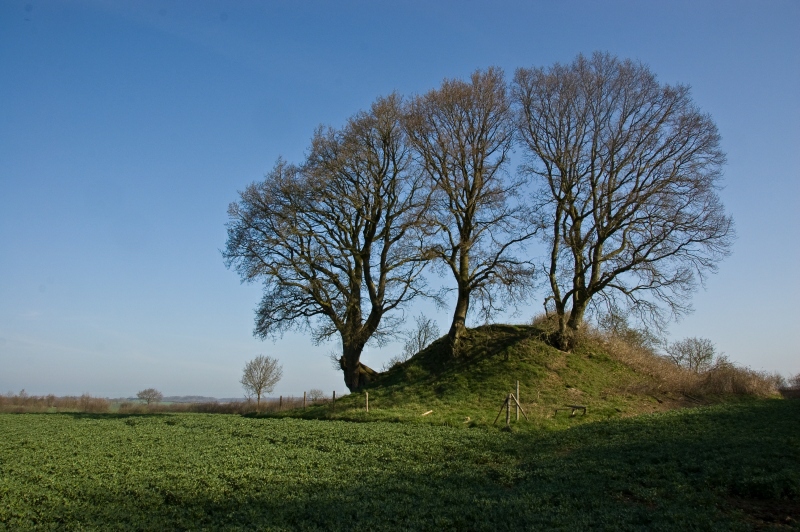 Schaalby Grabhuegel 1