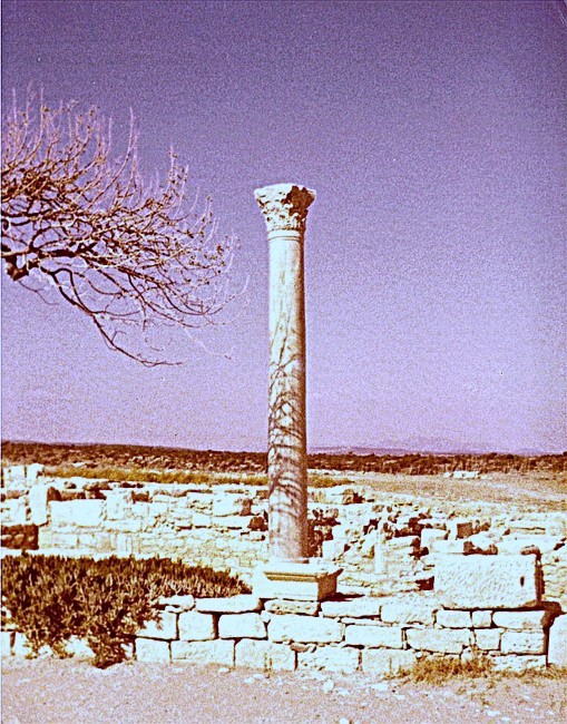 Site in Cyprus:This column dominates the site.
