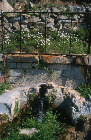 The oracular spring still retains its ancient marble blocks.