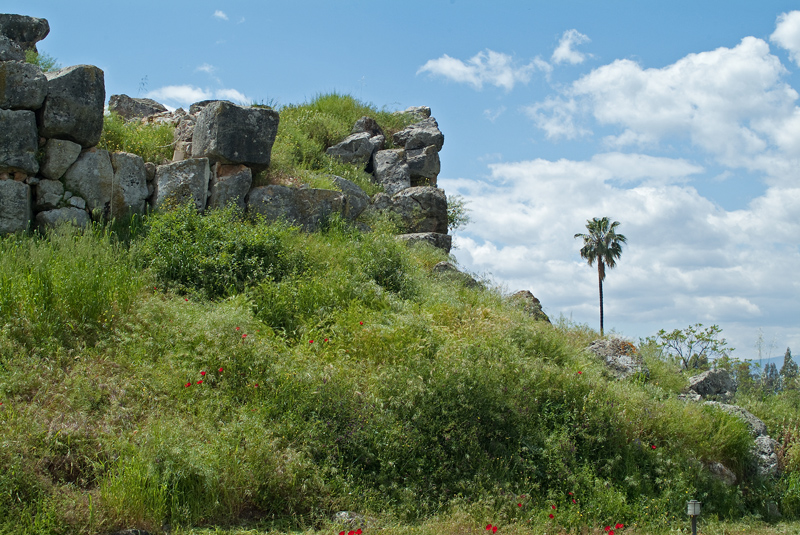 Tiryns.