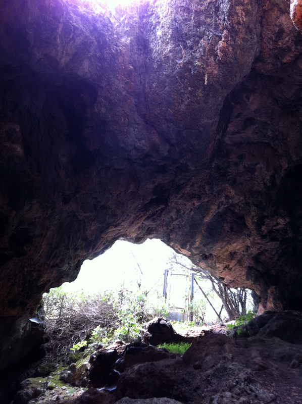 The entrance of the pig cave.