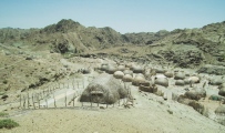 Archaeological Survey and Ethnoarchaeological Studies in Sefidkouh of Makran - PID:209804