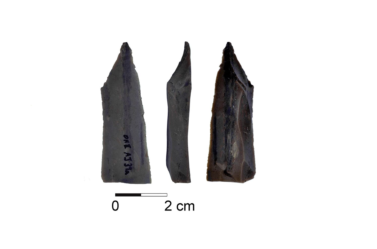 Ohalo II 
Flint sickle-blade from Ohalo II, dating to about 23,000 years agoCredit: Iris Groman-Yaroslavski and Dani Nadel