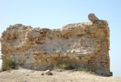 Tel Ashkelon