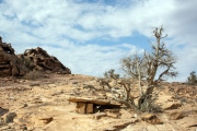 Jabal Fatouma Dolmen - PID:252375