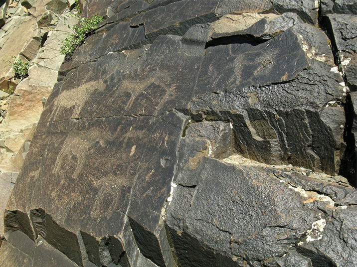 Tamgaly Petroglyphs