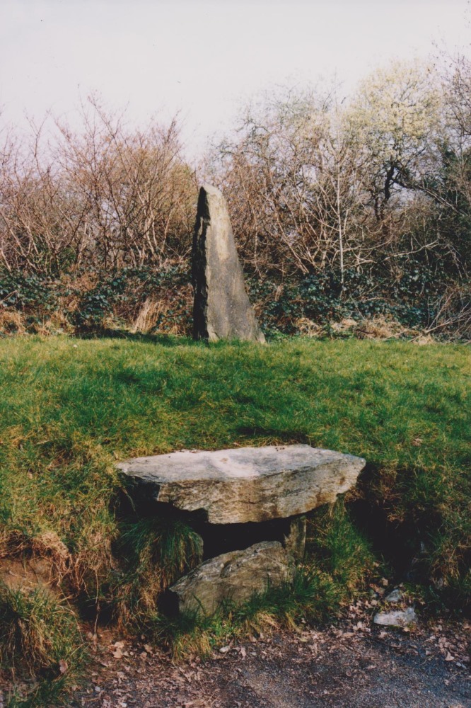 The standing stone and cist? at Ferrycarrig in 2003.  Photo from film camera.