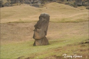 Rano raraku - PID:26231