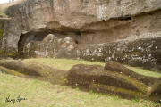 Rano Raraku - PID:26142