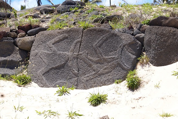 Site in  Easter Island
bird petroglyph reused in the back wall of the Ahu
