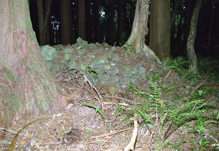 Inside a private woodland there are some dozen of these small stone mounds. They are pre-Maori, but it is not much known about.