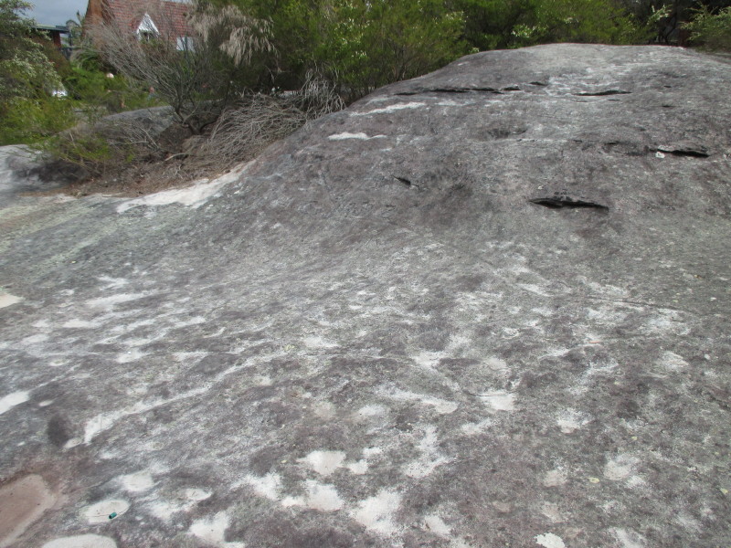 Gumbooya site