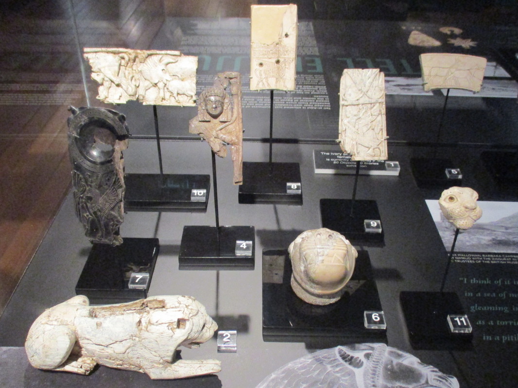 Nicholson Museum Nimrud Fort Shalmaneser 9-7th century BC.  November 2015

