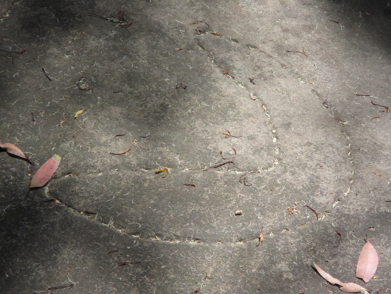 A secondary engraving beside the main one.  This may represent the gathering of the tribe at a major event related to the main engraving.  November 2014.