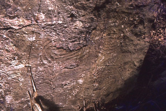 Paita Valley, New Caledonia rock art photographed by Belshade in 1979