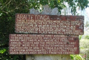 Arai Te Tonga - PID:136642
