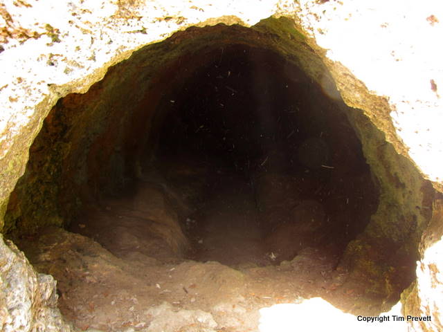 Cave 8 would have had two apertures as cave 7, except the ceiling above the first aperture and linking passage has been removed. A small chamber midway along on the right and another long thin rectangular depression help define the interior.

Site in Balearic Isles (Mallorca) Spain

