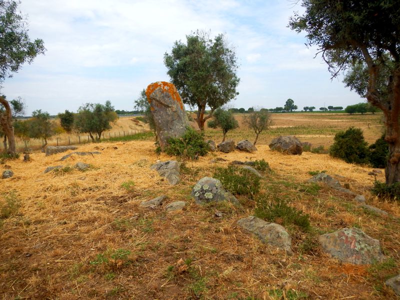 Anta Da Amoreira Da Torre