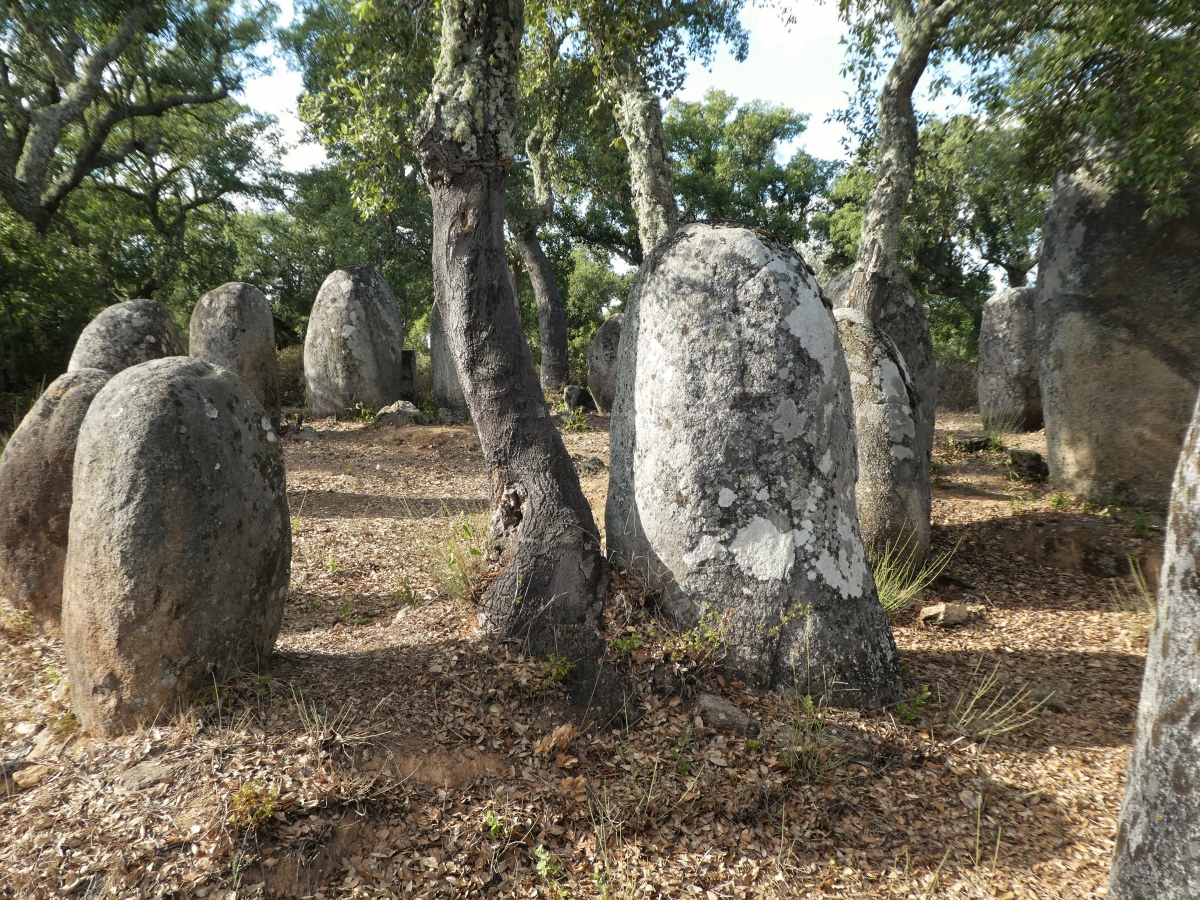 There are about 40 stones, and again many are beautifully shaped and have motifs carved onto them. 

I am alone here in this lovely wooded place, and think that this is perhaps my favourite place of all my visits