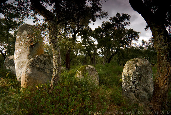 Site in Alentejo
Cromeleque da Portela de Mogos

This is a magical woodland site, visited on a very dull, drizzly day 21/02/07.
