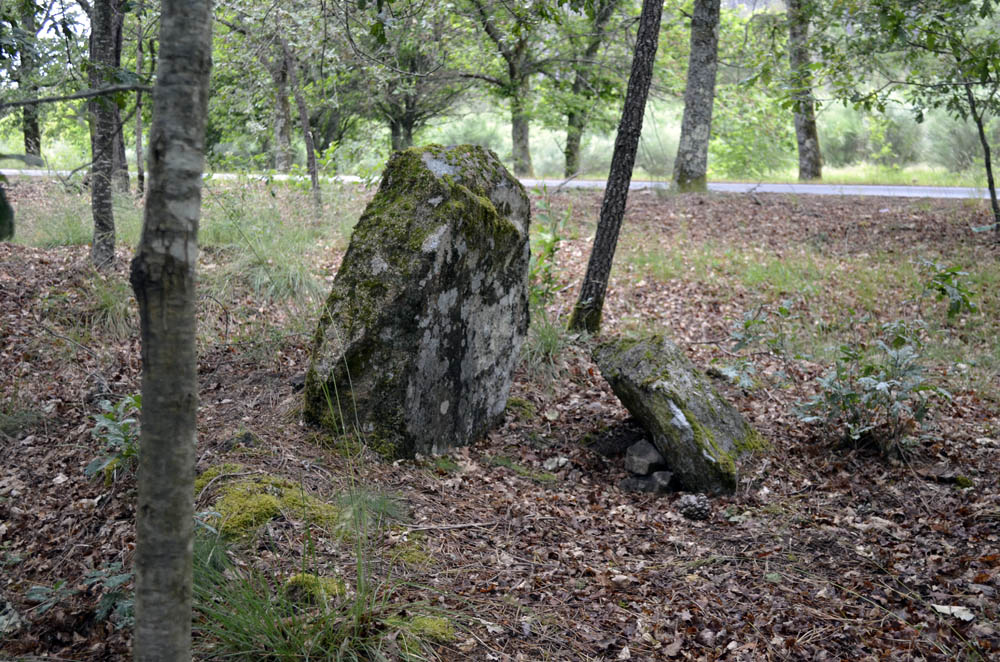 Burial chamber (dolmen) in Viseu Portugal.
Orca Vale dos Carris, June 2019.
